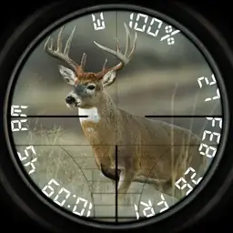 Deer Hunter