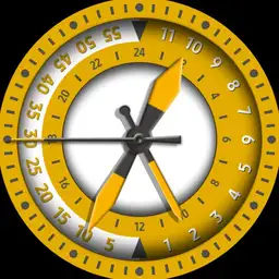 Brute DUOTIME Retrograde Split Time GMT Watch