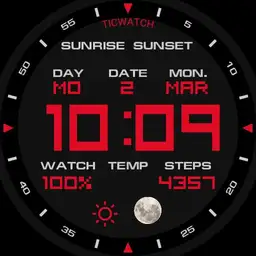 TICWATCH GRMN with steps