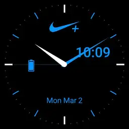 Nike Blue Copy