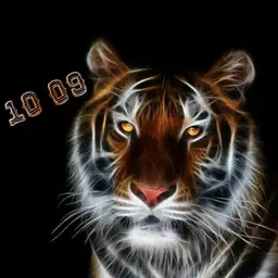 tiger