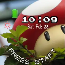 mario mushroom