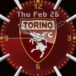 Torino calcio