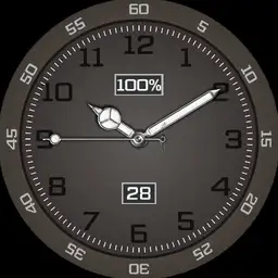 zone system
