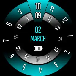The Time