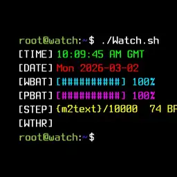 BASH Terminal - Idle