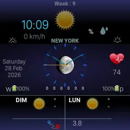 weather custom 12-2020 Copy
