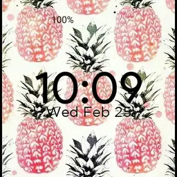 pineapple Copy