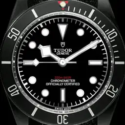Tudor with dim added