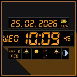 PA WATCH 73