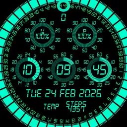 RADIAL GAGE