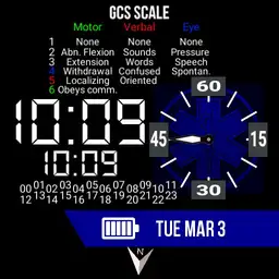 EMS Digital with GCS - blue