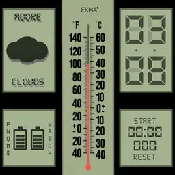Thermometer