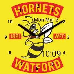 Watford fc