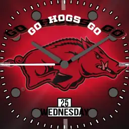 Go Hogs Go