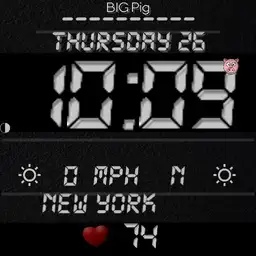 BIG Pig - LCD White on black