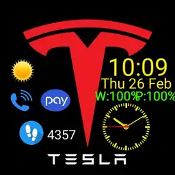 Tesla Samsung Pay
