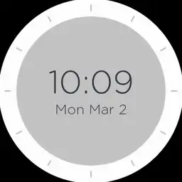 Verily Study Watch Copy