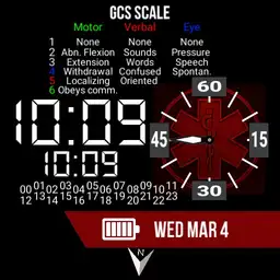EMS Digital with GCS - red