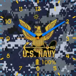 US Navy analog Copy