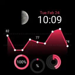 InfoDigits Fully Functional real heart red