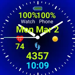 Bluepalm Watch 1