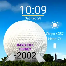 Epcot Countdown