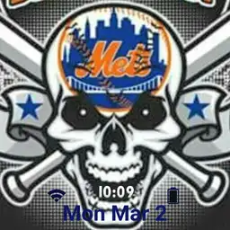 Mets Skull