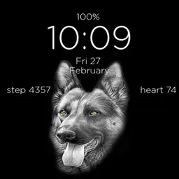 German shepherd dog