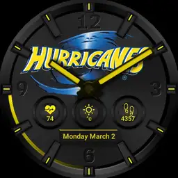 Hurricanes