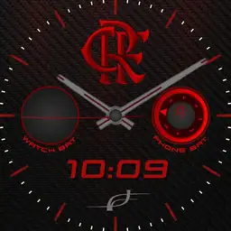 FLAMENGO FJS
