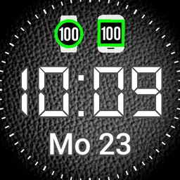 LG Edition digital V24
