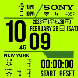 SSW3 Lime Copy