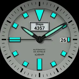 bluewatch mode