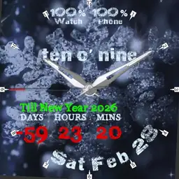 Snowflakes Copy