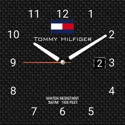 Tommy classic Copy