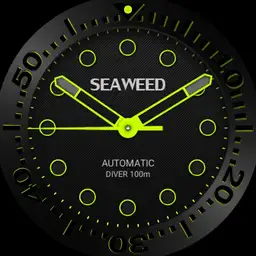 Seaweed Divers Watch