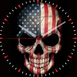 Patriotic Skull