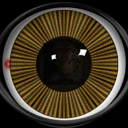 The Eye Of The Tiger JBTEOTT100419