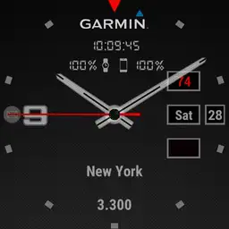 Garmin full info gray, green, white Copy