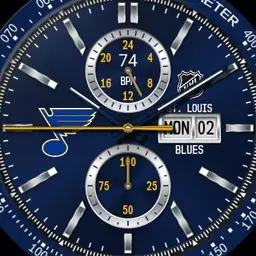 St. Louis Blues