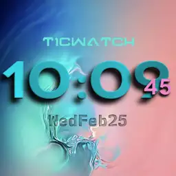 ticwatch special
