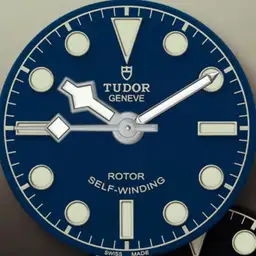 Diz Tudorish diver