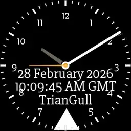 Trian-gull