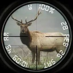 Elk Hunter