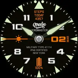 Aeromaster Pilot Copy