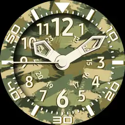 Brute CAMO Camouflage Military Field Watch
