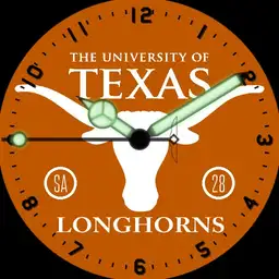 Texas Longhorns Copy