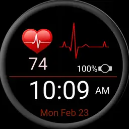 Ticwatch Pro Heart Monitor by Ramasoft