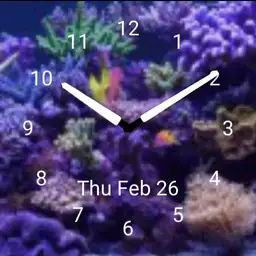 Aquarium 2